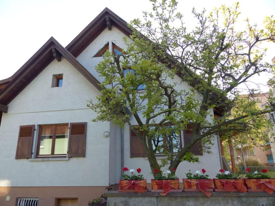 Gite Spacieux Au Coeur De L'Alsace 3*** Selestat Exterior photo